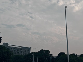 1000101046