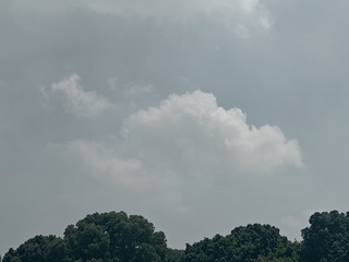 1000101271