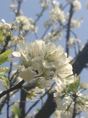 370F09E3-C981-49CC-8B7B-05796AE0A421/L0/001