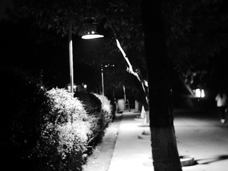 C905FD60-C8CE-4BDA-8EFF-AE6F014E710D/L0/001