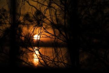 0F10D224-CF23-4DC5-B6A9-FF60E8C75AA7/L0/001
