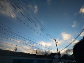 1595613