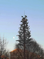 3461548