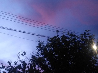 1303837