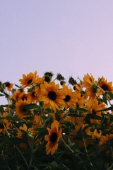 BC7C5BE5-747F-4B7A-A7AB-0D8C6A0764BF/L0/001