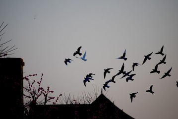 0BB62940-B921-42DD-A805-CC6E0279E61F/L0/001