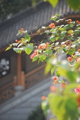 18DC74C7-018C-4AC2-A123-7B952775ABCB/L0/001