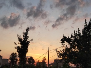 64
