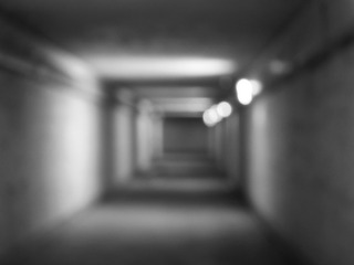 1000008481
