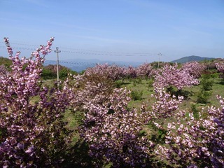 DSC00597