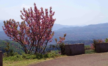 DSC00544