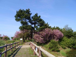 DSC00619