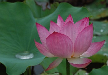 DSC_1334.jpg