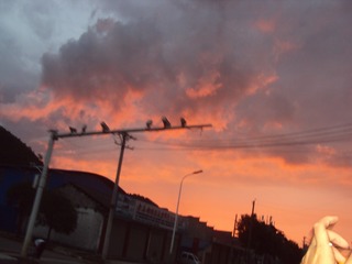 E0066569-601C-4D05-B141-2B65BD629143/L0/001