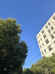 8D6B51FA-70D7-4C1E-AE04-F2642A0E81B0/L0/001