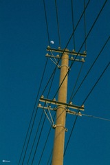 348816