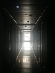 4363258