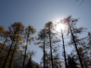 照片 191.jpg