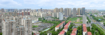 DSC03412