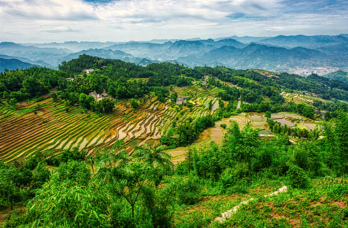 丹山梯田摄于四川叙永县