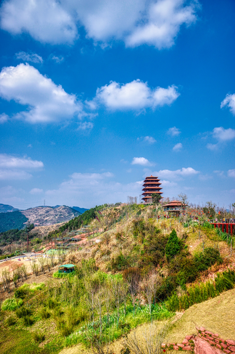 阳光下的丹景阁