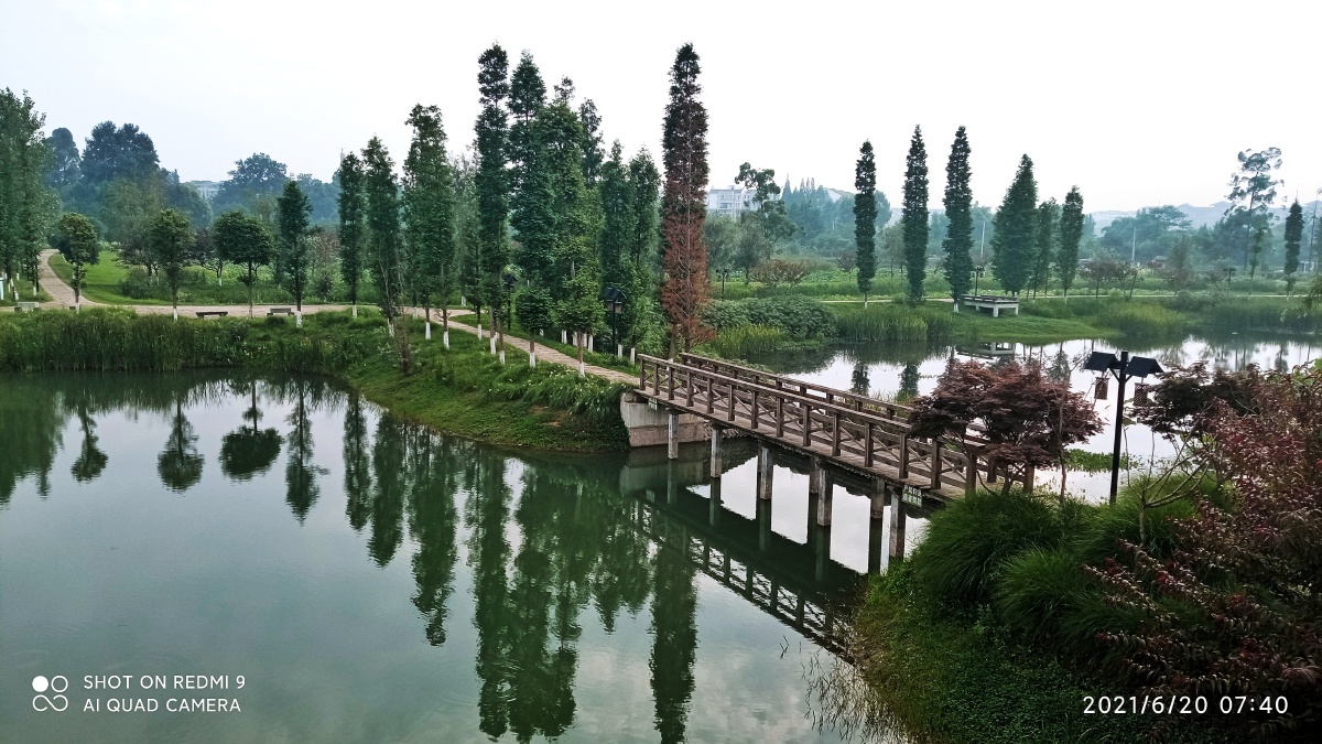 湿地小景摄于郫都三道堰镇