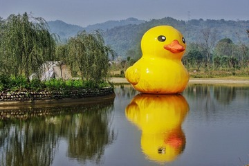527460