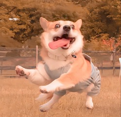 116