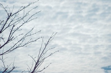 860F8544-D51B-4C4A-9DBA-0329002CC06D/L0/001