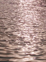 15517