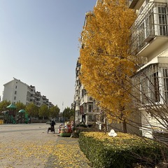 D8A92447-BB16-47AE-B1E0-76BE5D4C7B74/L0/001