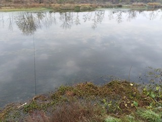 4763604