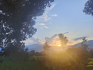 1000010391