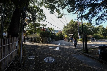 DSCF1580-2