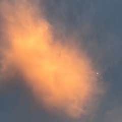 8C7E685E-D293-4646-8664-5CE88798074A/L0/001