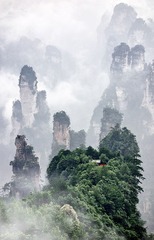 张家界 张家界景区 老屋场云海 04