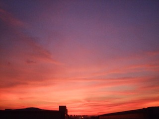 99247036-DF23-4CE4-954F-AEBEBC057296/L0/001