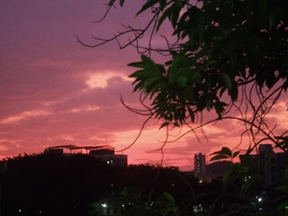 2E2F57FB-39B4-4332-99C6-8859C79481D0/L0/001