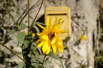 DSC_0933.JPG