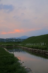 8F8B701A-481B-4F98-8F38-8EC80271DD71/L0/001