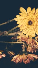 95