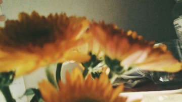 85
