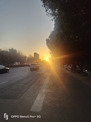 1000018388