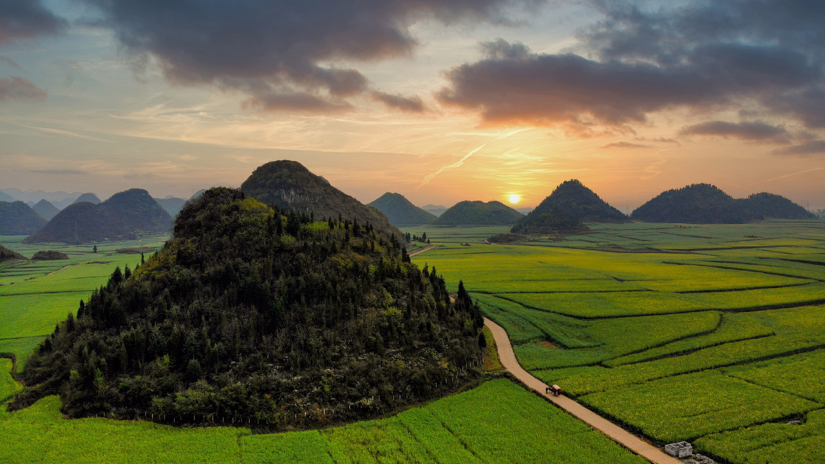 罗平峰林金鸡峰丛