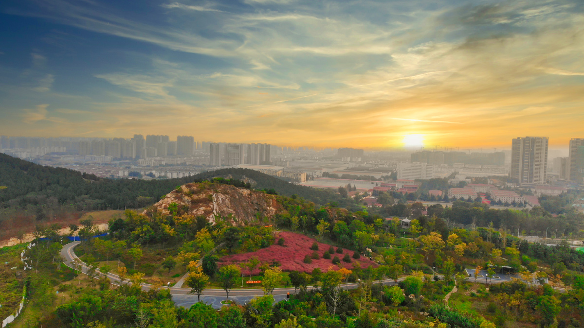 徐州广山公园粉黛乱子草