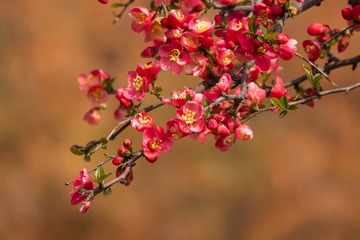 JIM04823