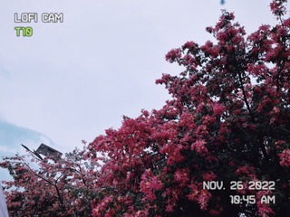 B1F0DFEF-193E-4091-8667-128845DD2B40/L0/001