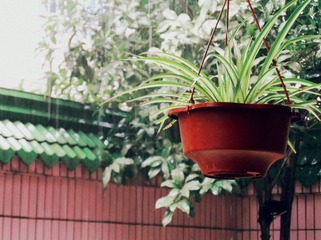 sam_0362_副本.jpg