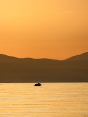 1E2D53E9-F4F1-48B7-9961-C64AC114C5CB/L0/001
