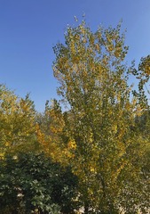 8B6C3D65-0BA7-495A-889F-95D0EFDB7A27/L0/001